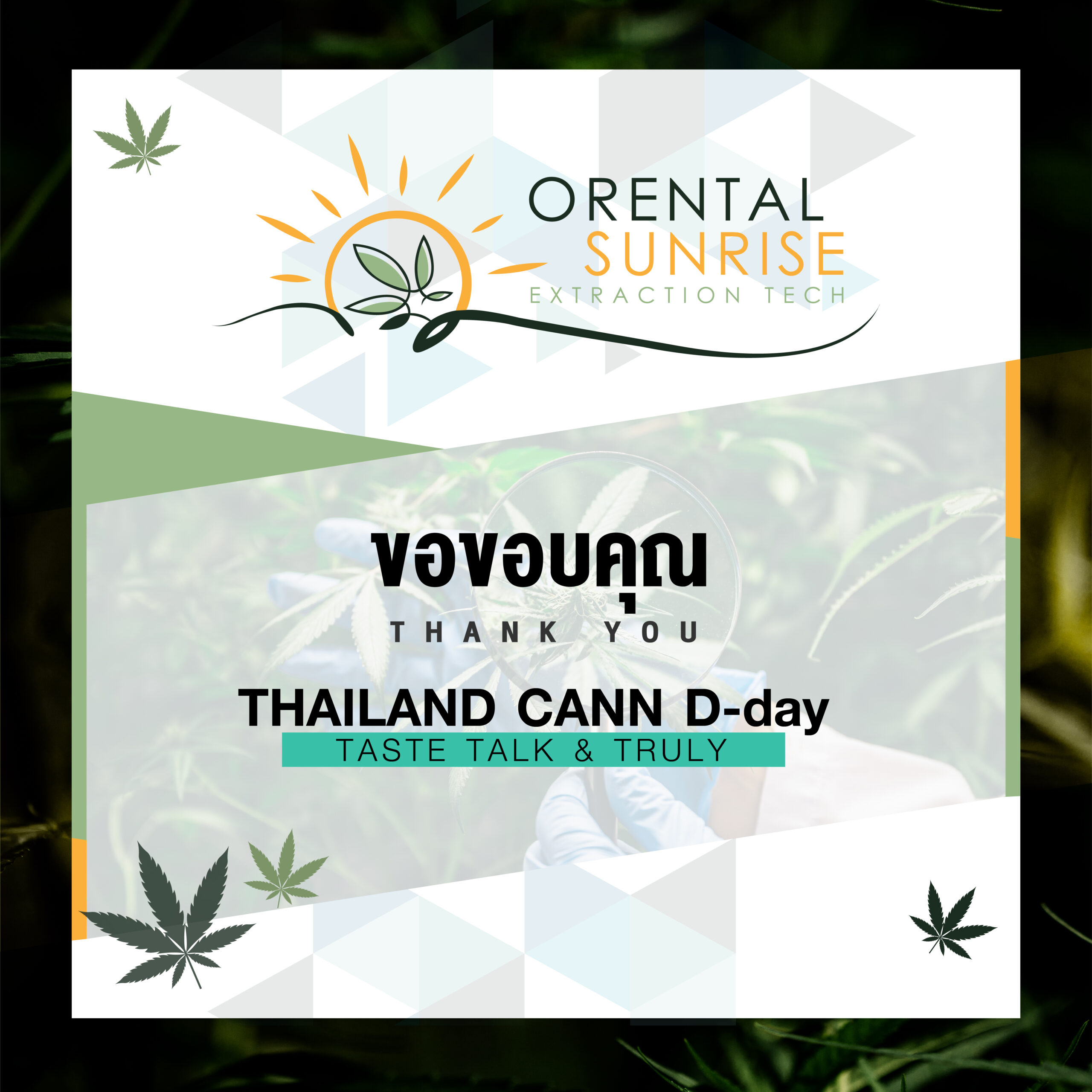 ORENTAL SUNRISE at THAILAND CANN D-DAY event {17-21 Nov 2021}