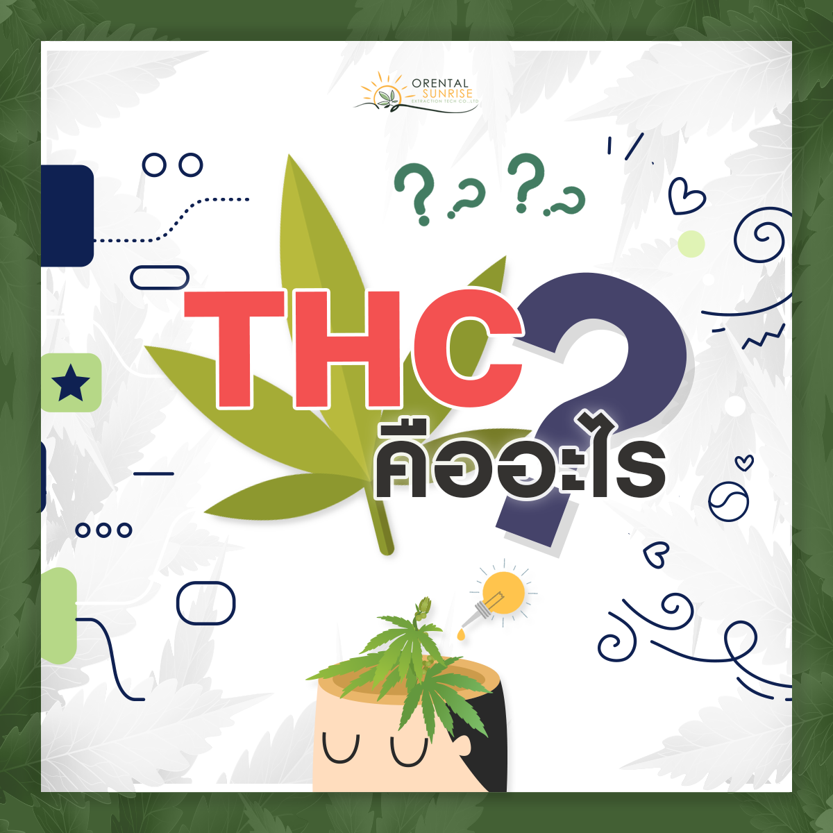 THC What is it? Let’s get to know each other